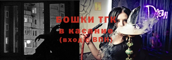 ПСИЛОЦИБИНОВЫЕ ГРИБЫ Арсеньев