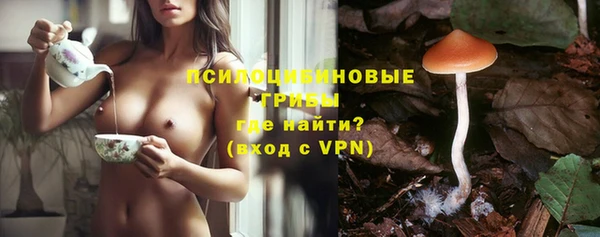 ПСИЛОЦИБИНОВЫЕ ГРИБЫ Арсеньев