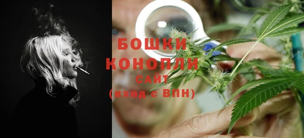 ПСИЛОЦИБИНОВЫЕ ГРИБЫ Арсеньев