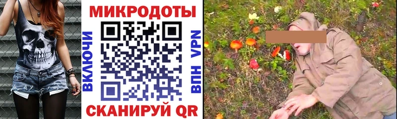 Галлюциногенные грибы Psilocybe  наркота  Можга 